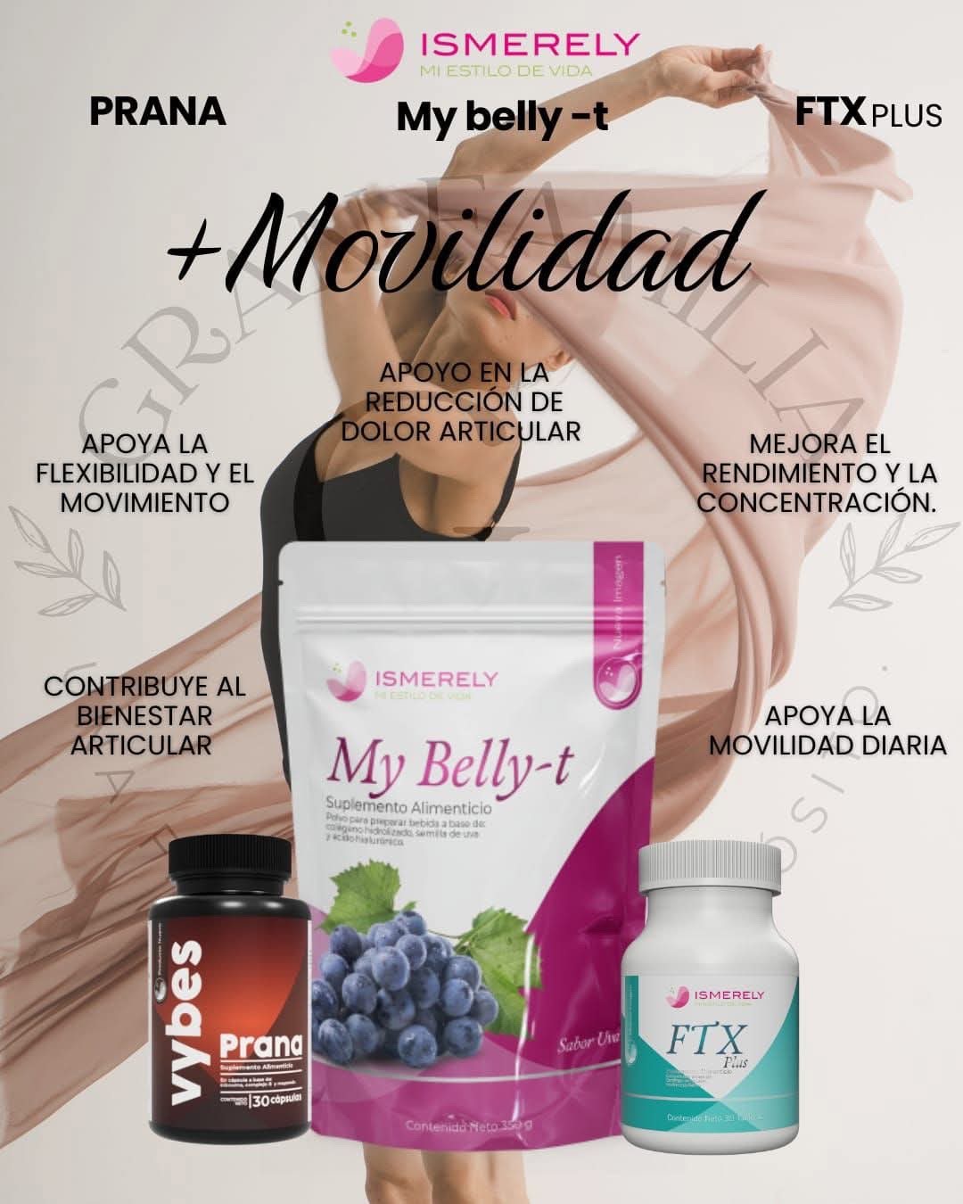 Productos Ismerely de movilidad